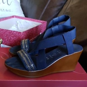 Navy wedge Sandals